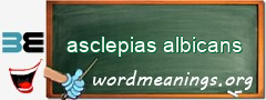 WordMeaning blackboard for asclepias albicans